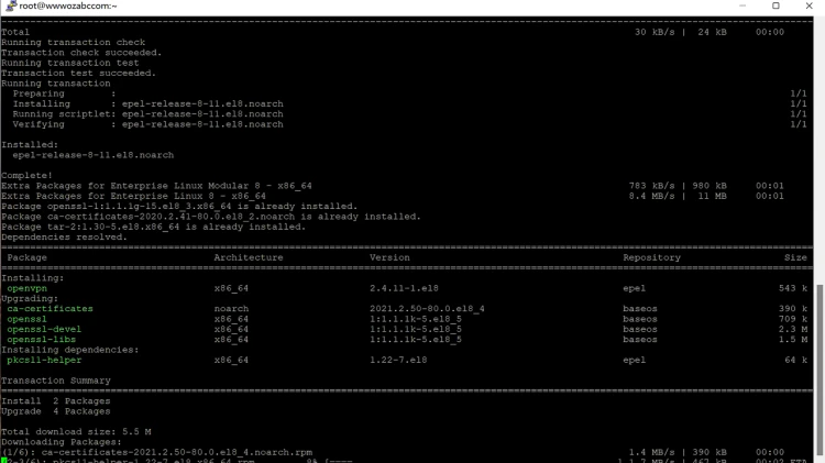 Linux下载安装OpenVPN 服务端 （一键安装命令）-零度博客