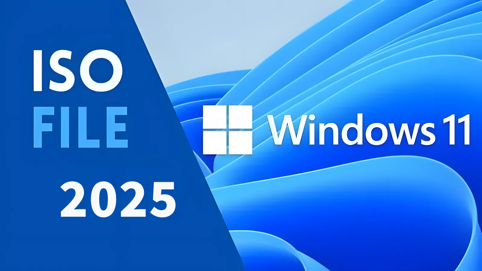 Windows 11  LTSC 2024 长期服务版官方镜像下载！选IoT 物联版 还是企业版？-零度博客